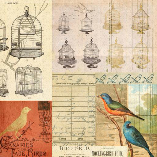 Käfig, Vogel, Vögel, Zeichnung Jodielee
