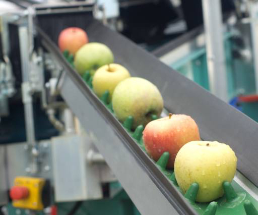 Äpfel, Lebensmittel, Maschine, Fabrik Jevtic