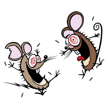 maus, mäuse, verrückt, glücklich, zwei Donald Purcell - Dreamstime
