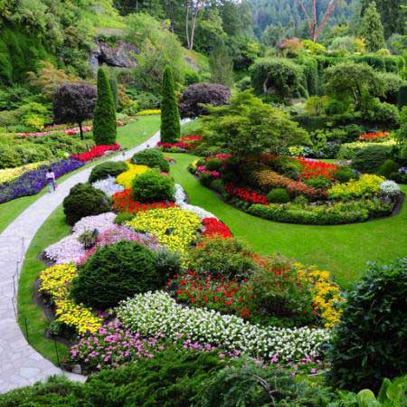 Garten, Blumen, Farben, Grün Photo168 - Dreamstime