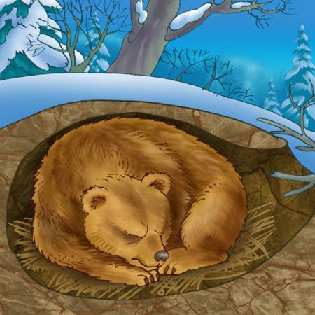Bären, Winter, schlafen, Kälte, Natur Alexander Kukushkin - Dreamstime