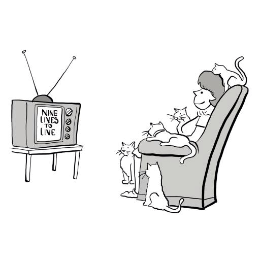 TV, neun, Leben, eine Frau, Katzen Andrewgenn