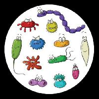 Pixwords Das Bild mit Insekten, Mikroskop, Schleim, Virus Dedmazay - Dreamstime
