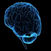 Pixwords Das Bild mit Kopf, ein Mann, eine Frau, denken, Gehirn Sebastian Kaulitzki - Dreamstime