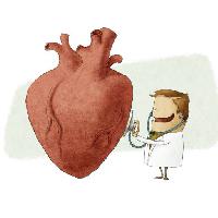 Pixwords Das Bild mit Herz, Arzt, beraten, Rot, Stethoskop Jrcasas