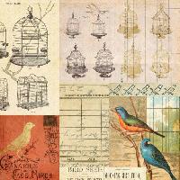 Pixwords Das Bild mit Käfig, Vogel, Vögel, Zeichnung Jodielee
