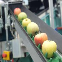 Pixwords Das Bild mit Äpfel, Lebensmittel, Maschine, Fabrik Jevtic