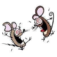 Pixwords Das Bild mit maus, mäuse, verrückt, glücklich, zwei Donald Purcell - Dreamstime