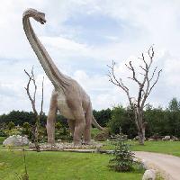 Pixwords Das Bild mit Dinosaurier, Park, Baum, Bäume, Tier Caesarone