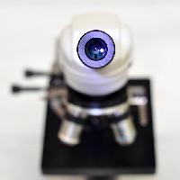Pixwords Das Bild mit Kamera, Objektiv, Mikroskop catiamadio