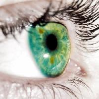 Pixwords Das Bild mit grün, Augenlider, Augen Goran Turina - Dreamstime