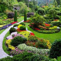 Pixwords Das Bild mit Garten, Blumen, Farben, Grün Photo168 - Dreamstime