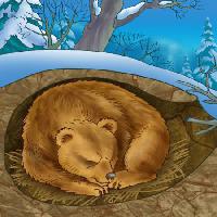 Pixwords Das Bild mit Bären, Winter, schlafen, Kälte, Natur Alexander Kukushkin - Dreamstime