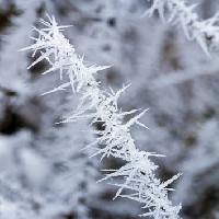 Pixwords Das Bild mit frost, eis, winter, spitze Haraldmuc - Dreamstime