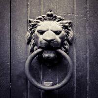 Pixwords Das Bild mit Löwen, ring, Mund, Tür Mauro77photo - Dreamstime