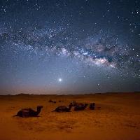 Pixwords Das Bild mit Himmel, Nacht, , Wüste, Kamele, Sterne, Mond Valentin Armianu (Asterixvs)