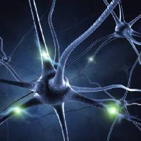 Synapse, Kopf, neuron, Verbindungen Sashkinw - Dreamstime