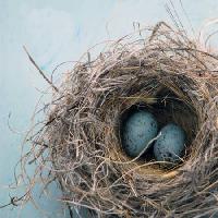 Pixwords Das Bild mit Nest, Ei, Vogel, blau, home, Antaratma Microstock Images © Elena Ray - Dreamstime