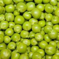 Pixwords Das Bild mit Obst, Erbsen, grün, essen, Lebensmittel Brad Calkins - Dreamstime