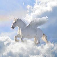 Pferd, wolken, fliege, flügel Viktoria Makarova - Dreamstime