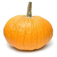 Pixwords Das Bild mit halloween, orange, Obst, Gemüse Niderlander - Dreamstime