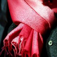 Pixwords Das Bild mit rot, Tuch, Kleidung, Schal, Taste Clarita