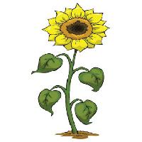 Pixwords Das Bild mit gelb, wachsen, blühen, grün, pflanze Dedmazay - Dreamstime