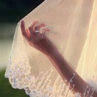 Pixwords Das Bild mit Ring, Hand, Braut, Frau Tatiana Morozova - Dreamstime