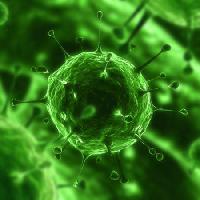 Pixwords Das Bild mit Bakterien, Viren, Insekten, Krankheiten, Zell Sebastian Kaulitzki - Dreamstime
